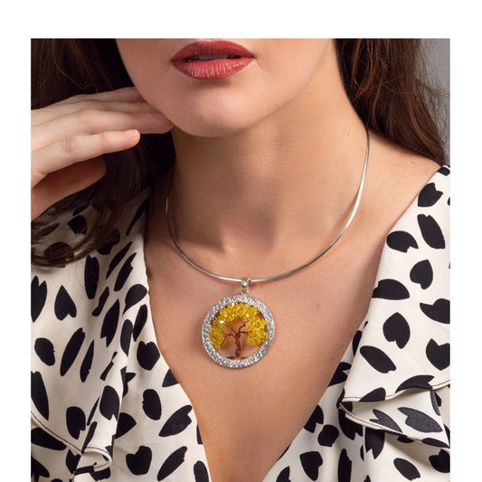 Arboles de Costa Rica - GRANATE 27